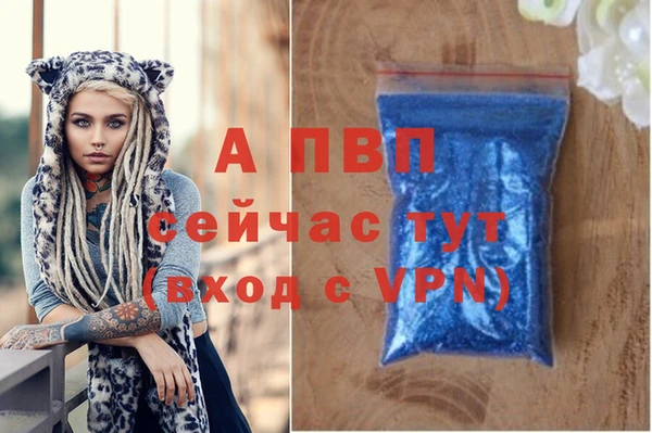 ГАЛЛЮЦИНОГЕННЫЕ ГРИБЫ Вяземский