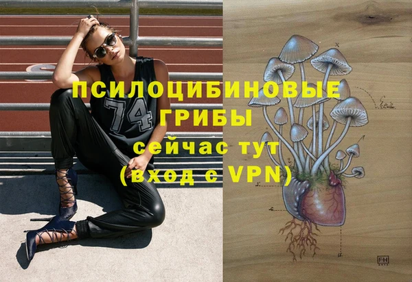 MESCALINE Вязники